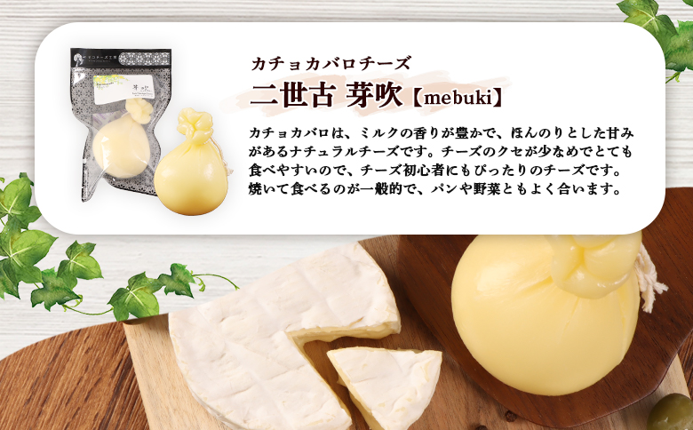 【ニセコチーズ工房】二世古カチョカバロチーズセット B【43021】