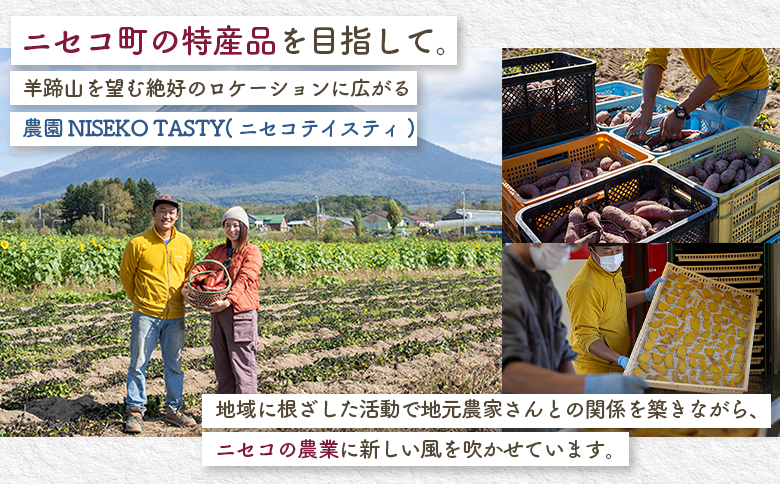 ニセコ町 シルクスイート 平干し 100ｇ 4袋 | 小分け 北海道 健康 デザート おやつ 間食 ニセコ 甘さ 甘い 濃厚 やわらかい お茶うけ 風味 贅沢 おいしい 高品質 栄養価 豊富 食物繊維 食品 健康志向 お取り寄せ 北海道 ニセコ町 ニセコ【48014】
