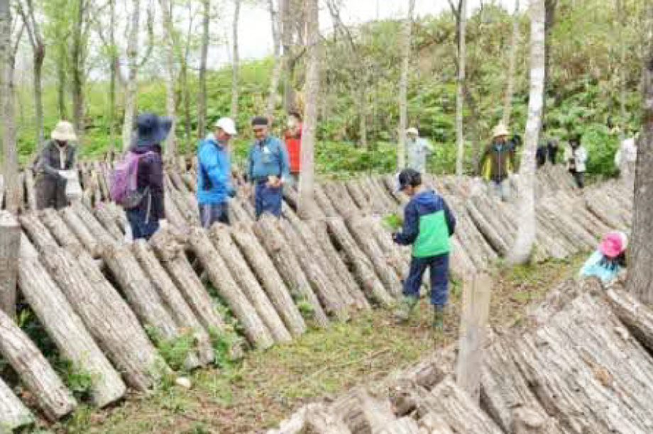 森林資源の維持、保全及び整備に関する事業