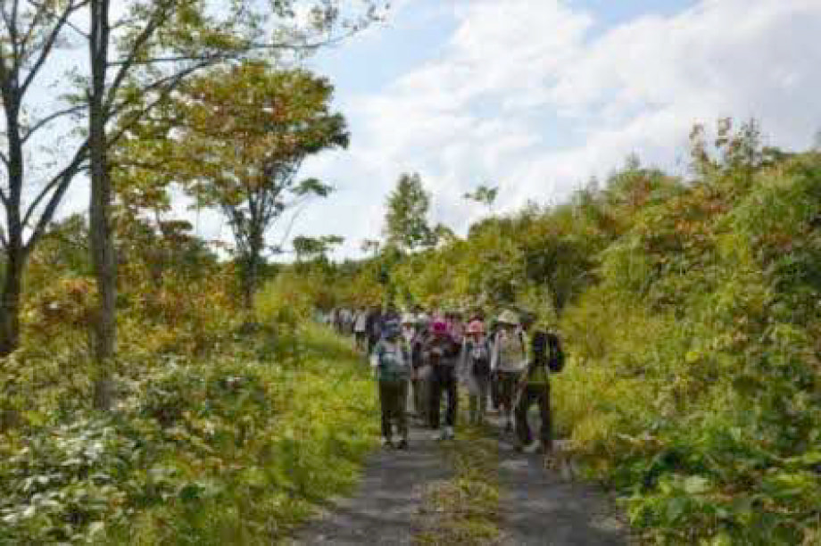 環境の保全及び景観維持、再生に関する事業