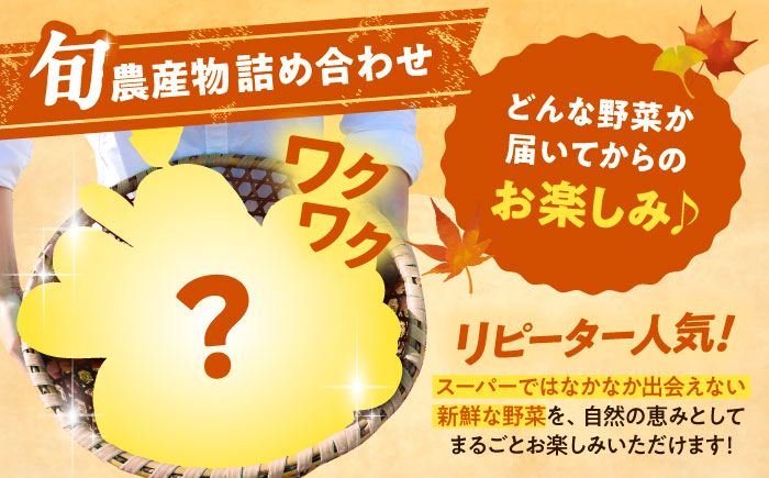【2026年11月下旬以降発送】 秋の味覚セット（小）（じゃがいも5kg・旬の農産物詰め合わせ） | 野菜セット 野菜 詰合せ じゃがいも 季節の野菜 | 道の駅 真狩フラワーセンター [BPAM001]