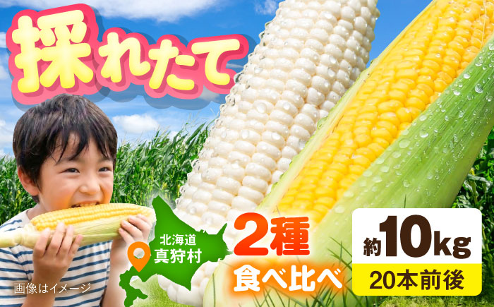 【2026年8月下旬以降順次発送】 白と黄色のとうもろこし 各5kg |  とうもろこし とうきび トウモロコシ コーン 野菜 やさい 北海道 産地直送 |  道の駅 真狩フラワーセンター [BPAM019]
