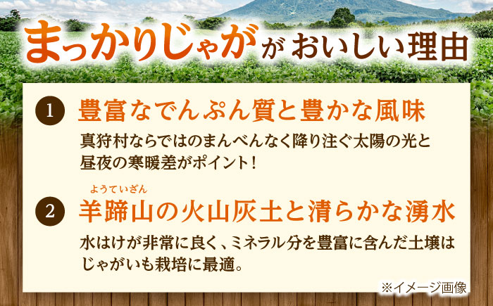 【2026年10月中旬以降順次発送】 じゃがいも 男爵（まっかりじゃが）5kg | じゃがいも ジャガイモ 男爵 野菜 北海道 産地直送 | 道の駅 真狩フラワーセンター [BPAM016]