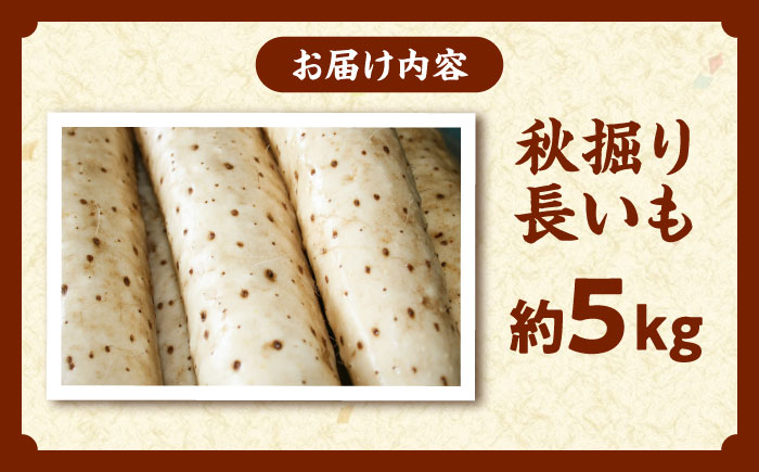【2026年11月下旬以降順次発送】秋掘り 長いも 5kg  |  長いも 秋野菜 野菜 やさい 北海道 産地直送 |  道の駅 真狩フラワーセンター [BPAM026]