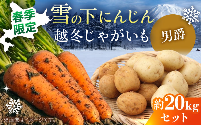 【2027年3月下旬以降順次発送】 雪の下にんじんと越冬じゃがいもセット 計20kg（男爵）|  野菜セット 野菜 セット にんじん じゃがいも  |  道の駅 真狩フラワーセンター [BPAM032]