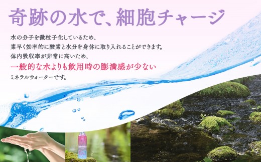 【全6回定期便】 ニセコ解離水 金のしずく・銀のしずく 500ml×24本 | 水 保存水 軟水 ミネラルウォーター 羊蹄山 解離水 | 株式会社アプロディーテ [BPAH003]