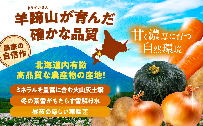 【2026年11月下旬以降発送】 秋の味覚セット（大）（じゃがいも10kg・旬の農産物詰め合わせ） | 野菜セット 野菜 じゃがいも 詰め合わせ 旬の野菜 セット 食べ比べ 北海道 | 道の駅 真狩フラワーセンター [BPAM004]