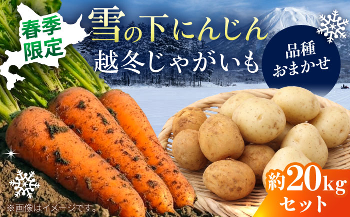 【2027年3月下旬以降順次発送】 雪の下にんじんと越冬じゃがいもセット 計20kg （じゃがいも種類おまかせ） |  野菜セット 野菜 野菜詰め合わせ セット にんじん じゃがいも |  道の駅 真狩フラワーセンター [BPAM031]