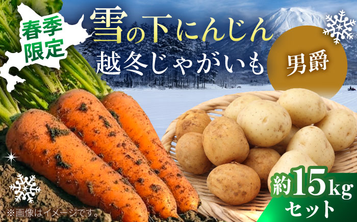 【2027年3月下旬以降順次発送】 雪の下にんじんと越冬じゃがいもセット 計15kg（男爵）| 野菜セット 野菜 セット にんじん じゃがいも  |  道の駅 真狩フラワーセンター [BPAM036]
