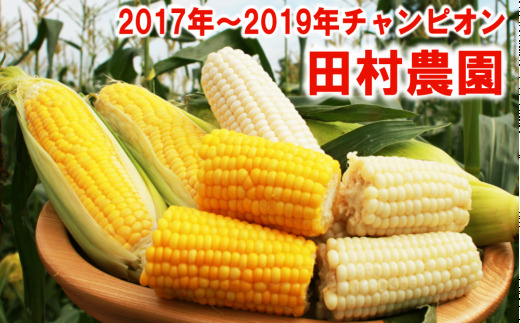 【2026年8月下旬以降順次発送】 【うまコーン選手権チャンピオン】 田村農園 とうもろこし 約10本 | 野菜 とうもろこし トウモロコシ 旬の野菜 夏野菜 | 道の駅 真狩フラワーセンター [BPAM008]