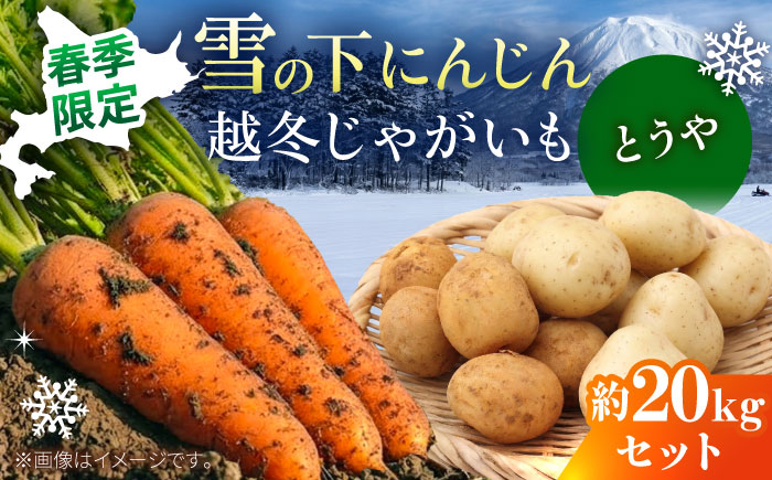 【2027年3月下旬以降順次発送】 雪の下にんじんと越冬じゃがいもセット 計20kg （とうや）|  野菜セット 野菜 セット にんじん じゃがいも  |  道の駅 真狩フラワーセンター [BPAM034]