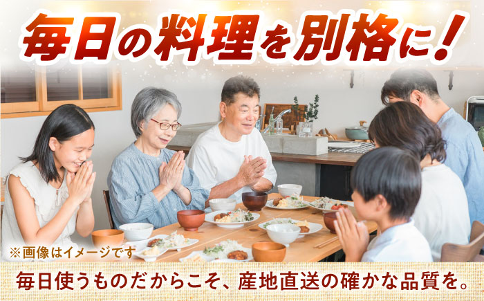 【2026年10月上旬以降順次発送】 玉ねぎ 10kg | 野菜 玉ネギ たまねぎ やさい 北海道 産地直送 先行予約 | 道の駅 真狩フラワーセンター [BPAM080]