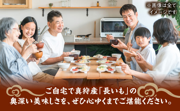 【2026年11月下旬以降順次発送】秋掘り 長いも 5kg  |  長いも 秋野菜 野菜 やさい 北海道 産地直送 |  道の駅 真狩フラワーセンター [BPAM026]