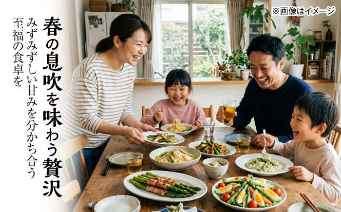 【2026年5月下旬以降順次発送】 グリーンアスパラ 1kg | 野菜 アスパラ アスパラガス やさい 北海道 産地直送 | 道の駅 真狩フラワーセンター [BPAM049]