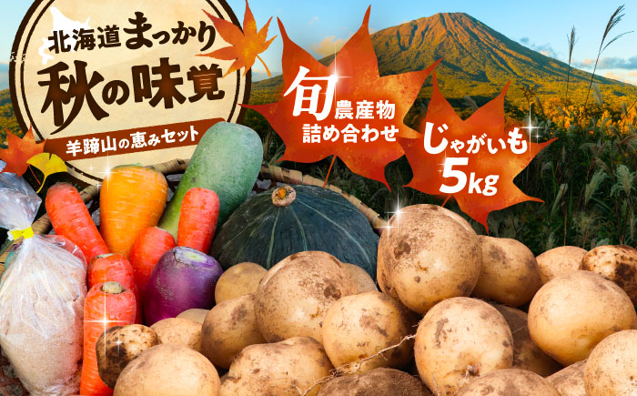 【2026年11月下旬以降発送】 秋の味覚セット（小）（じゃがいも5kg・旬の農産物詰め合わせ） | 野菜セット 野菜 詰合せ じゃがいも 季節の野菜 | 道の駅 真狩フラワーセンター [BPAM001]