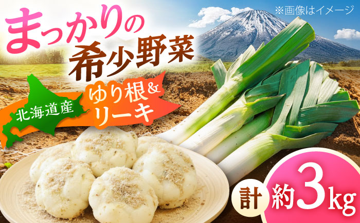【2026年11月上旬以降順次発送】 ゆり根とリーキ  計3kg  |  ゆり根 リーキ 野菜 やさい 北海道 産地直送 |  道の駅 真狩フラワーセンター [BPAM022]