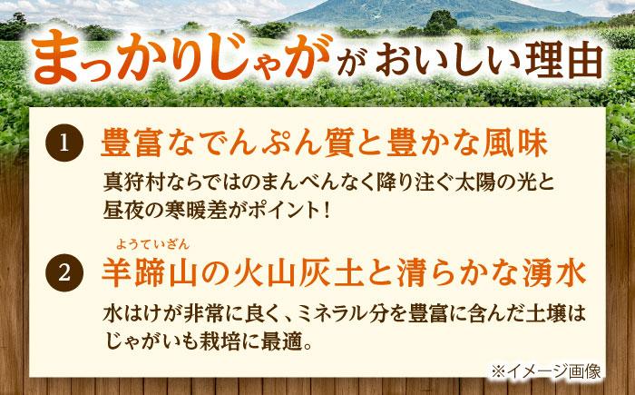 【2026年11月上旬以降順次発送】 じゃがいも キタカムイ（まっかりじゃが）10kg | 野菜 じゃがいも ジャガイモ キタカムイ 北海道 産地直送 | 道の駅 真狩フラワーセンター [BPAM047]