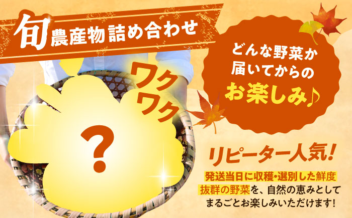 【2026年11月下旬以降発送】 秋の味覚セット（大）（じゃがいも10kg・旬の農産物詰め合わせ） | 野菜セット 野菜 じゃがいも 詰め合わせ 旬の野菜 セット 食べ比べ 北海道 | 道の駅 真狩フラワーセンター [BPAM004]