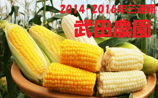 【2026年8月下旬以降順次発送】【うまコーン選手権優勝経験あり！】 とうもろこし（武田農園）約10本 | 野菜 とうもろこし トウモロコシ 旬の野菜 夏野菜 | 道の駅 真狩フラワーセンター [BPAM009]