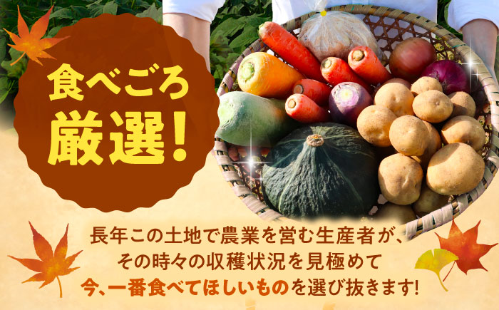 【2026年11月下旬以降発送】 秋の味覚セット（小）（じゃがいも5kg・旬の農産物詰め合わせ） | 野菜セット 野菜 詰合せ じゃがいも 季節の野菜 | 道の駅 真狩フラワーセンター [BPAM001]