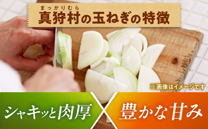 【2026年10月上旬以降順次発送】 玉ねぎ 5kg | 野菜 玉ネギ たまねぎ やさい 北海道 産地直送 先行予約 | 道の駅 真狩フラワーセンター [BPAM079]