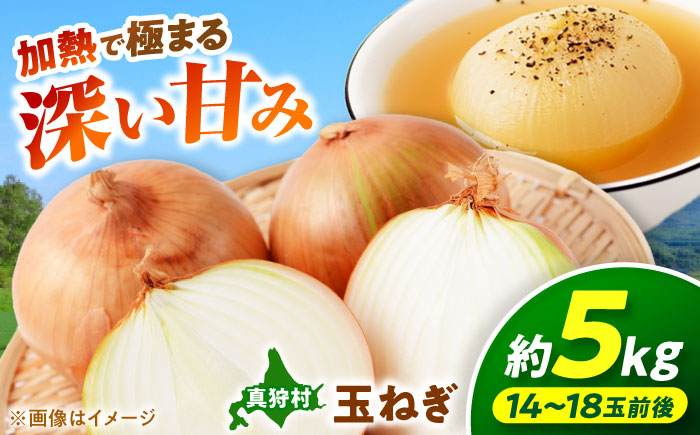 【2026年10月上旬以降順次発送】 玉ねぎ 5kg | 野菜 玉ネギ たまねぎ やさい 北海道 産地直送 | 道の駅 真狩フラワーセンター [BPAM079]