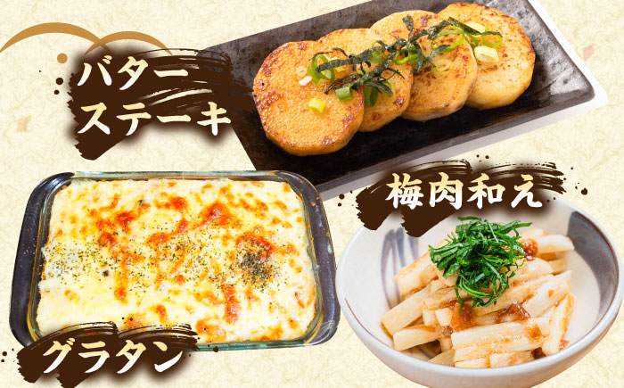 【2026年11月下旬以降順次発送】秋掘り 長いも 5kg  |  長いも 秋野菜 野菜 やさい 北海道 産地直送 |  道の駅 真狩フラワーセンター [BPAM026]
