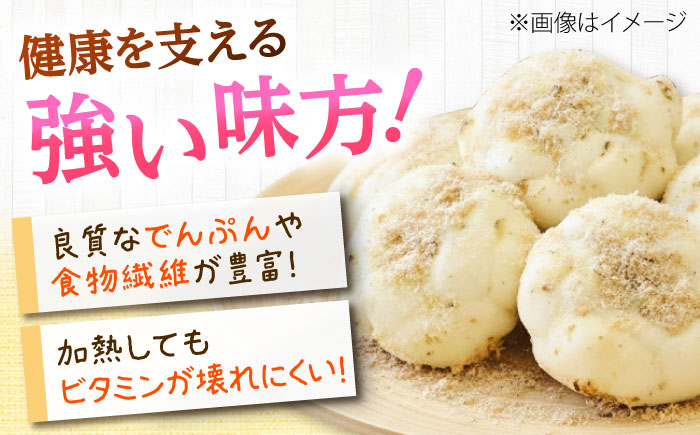 【2026年11月上旬以降発送】 ゆり根 Lサイズ 約2kg | ゆり根 ゆりね 野菜 冬野菜 産地直送 北海道 | 道の駅 真狩フラワーセンター [BPAM002]