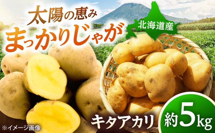 【2026年10月中旬以降順次発送】 じゃがいも キタアカリ（まっかりじゃが）5kg | じゃがいも ジャガイモ キタアカリ 野菜 北海道 産地直送 | 道の駅 真狩フラワーセンター [BPAM015]
