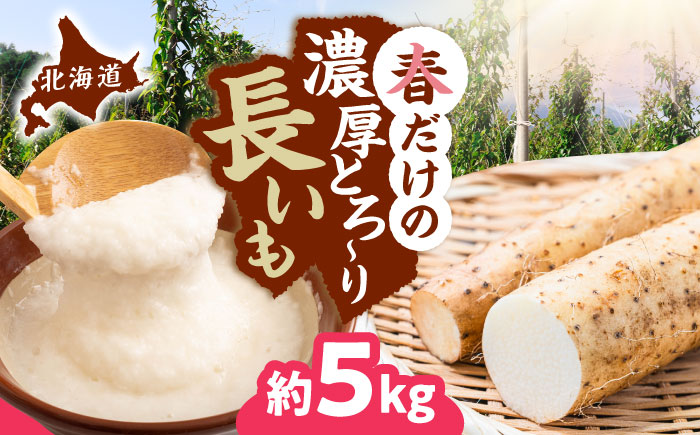【2026年5月上旬以降順次発送】 春掘り 長いも 5kg  |  長いも 春野菜 野菜 やさい 北海道 産地直送 |  道の駅 真狩フラワーセンター [BPAM027]