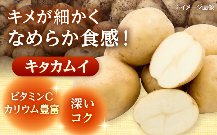 【2026年11月上旬以降順次発送】 じゃがいも キタカムイ（まっかりじゃが）10kg | 野菜 じゃがいも ジャガイモ キタカムイ 北海道 産地直送 | 道の駅 真狩フラワーセンター [BPAM047]