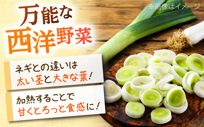 【2026年11月上旬以降順次発送】 ゆり根とリーキ  計3kg  |  ゆり根 リーキ 野菜 やさい 北海道 産地直送 |  道の駅 真狩フラワーセンター [BPAM022]