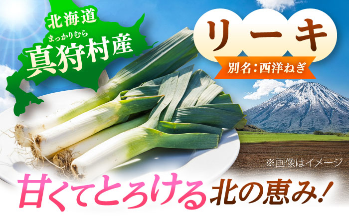 【2026年10月中旬以降順次発送】 リーキ 3kg | 野菜 ネギ ねぎ ポロネギ 西洋ねぎ リーキ 先行予約 | 道の駅 真狩フラワーセンター [BPAM045]