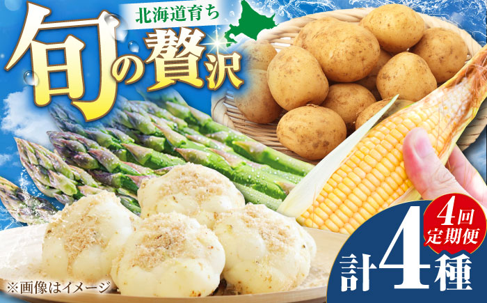 【2026年5月下旬以降順次発送】 【全4回定期便】 まっかり四季の恵みセット ミニセット (グリーンアスパラ・とうもろこし・じゃがいも・ゆり根）| 野菜 野菜セット アスパラガス とうもろこし コーン ゆり根 じゃがいも 北海道 | 道の駅 真狩フラワーセンター [BPAM046]
