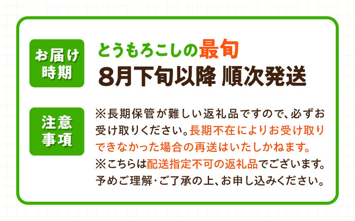 【2026年8月下旬以降順次発送】 とうもろこし 白（白）5kg  |  とうもろこし とうきび トウモロコシ コーン 野菜 やさい 北海道 産地直送 先行予約 | 道の駅 真狩フラワーセンター [BPAM021]