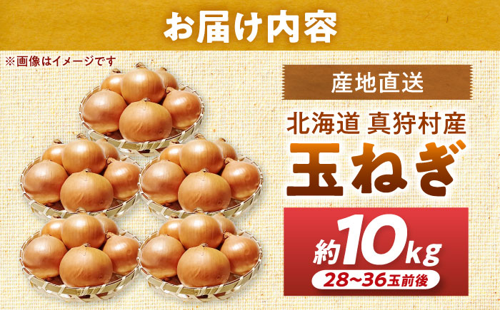 【2026年10月上旬以降順次発送】 玉ねぎ 10kg | 野菜 玉ネギ たまねぎ やさい 北海道 産地直送 先行予約 | 道の駅 真狩フラワーセンター [BPAM080]