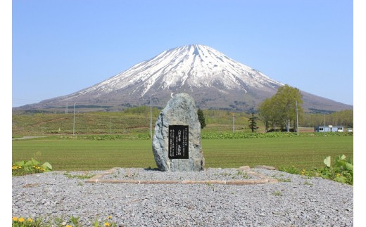 さくら貝の歌 作曲家・八洲秀章氏の生涯録 | 本 書籍 偉人 作曲家 音楽史 | 真狩村 [BPAK001]
