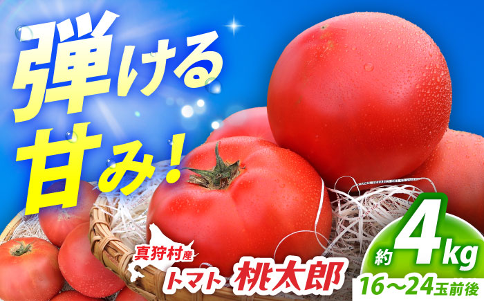 【2026年7月中旬以降順次発送】 トマト 4kg | 野菜 トマト とまと やさい 北海道 産地直送 | 道の駅 真狩フラワーセンター [BPAM078]