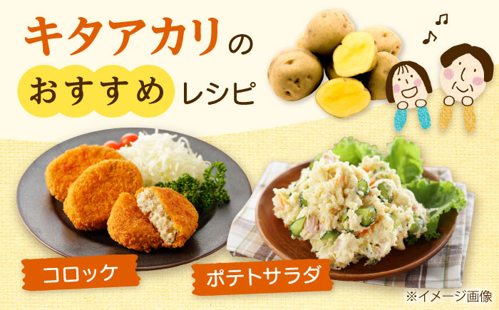 【2026年10月中旬以降順次発送】 じゃがいも キタアカリ （まっかりじゃが）10kg  |  じゃがいも キタアカリ 野菜 やさい 北海道 産地直送 |  道の駅 真狩フラワーセンター [BPAM025]