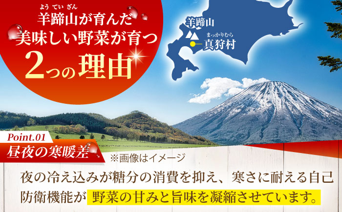 【2026年5月下旬以降順次発送】 【全4回定期便】 まっかり四季の恵みセット | 野菜セット 野菜 詰合せ アスパラ とうもろこし じゃがいも ゆり根 | 道の駅 真狩フラワーセンター [BPAM007]