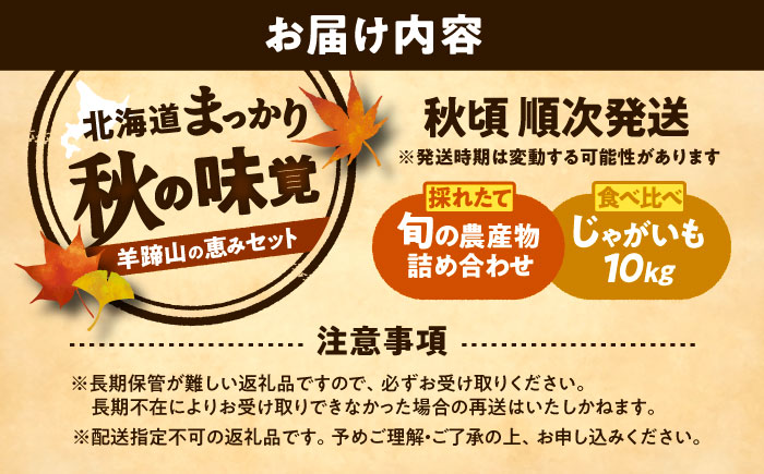 【2026年11月下旬以降発送】 秋の味覚セット（大）（じゃがいも10kg・旬の農産物詰め合わせ） | 野菜セット 野菜 じゃがいも 詰め合わせ 旬の野菜 セット 食べ比べ 北海道 | 道の駅 真狩フラワーセンター [BPAM004]