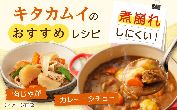 【2026年11月上旬以降順次発送】 じゃがいも キタカムイ（まっかりじゃが）5kg | 野菜 じゃがいも ジャガイモ キタカムイ 北海道 産地直送 | 道の駅 真狩フラワーセンター [BPAM048]