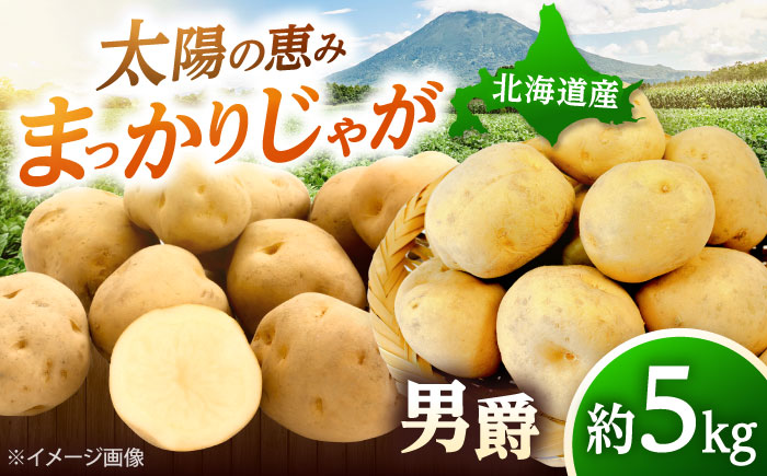 【2026年10月中旬以降順次発送】 じゃがいも 男爵（まっかりじゃが）5kg | じゃがいも ジャガイモ 男爵 野菜 北海道 産地直送 | 道の駅 真狩フラワーセンター [BPAM016]