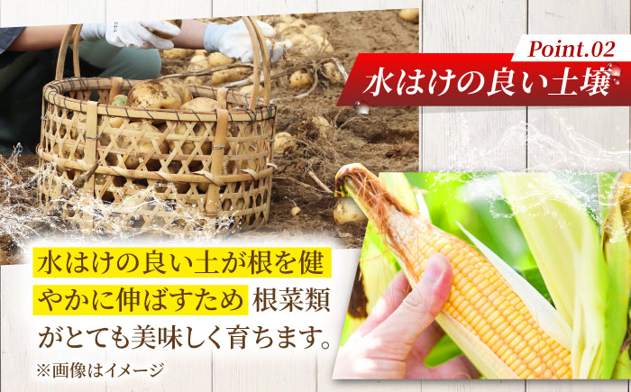 【2026年5月下旬以降順次発送】 【全4回定期便】 まっかり四季の恵みセット ミニセット (グリーンアスパラ・とうもろこし・じゃがいも・ゆり根）| 野菜 野菜セット アスパラガス とうもろこし コーン ゆり根 じゃがいも 北海道 | 道の駅 真狩フラワーセンター [BPAM046]