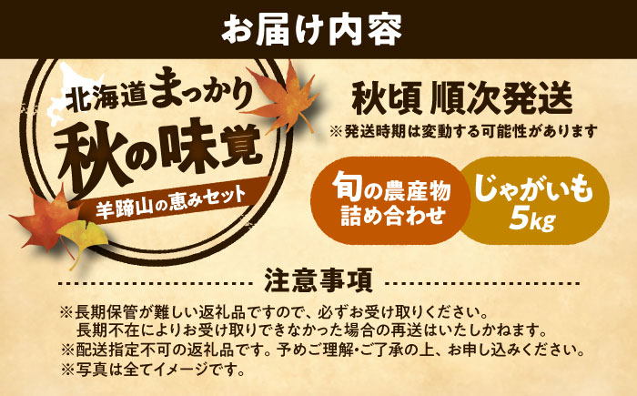 【2026年11月下旬以降発送】 秋の味覚セット（小）（じゃがいも5kg・旬の農産物詰め合わせ） | 野菜セット 野菜 詰合せ じゃがいも 季節の野菜 | 道の駅 真狩フラワーセンター [BPAM001]
