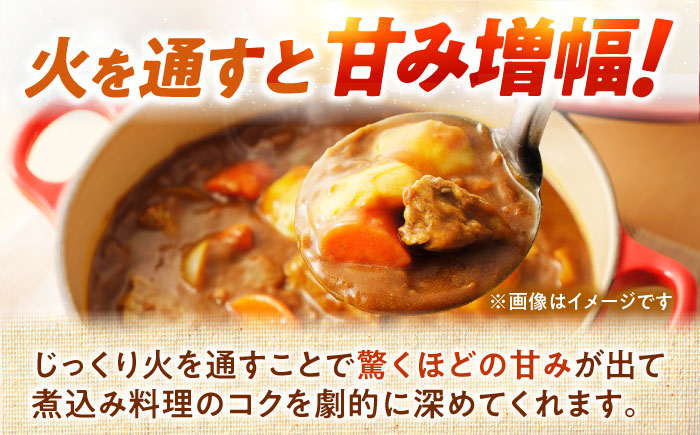 【2026年10月上旬以降順次発送】 玉ねぎ 5kg | 野菜 玉ネギ たまねぎ やさい 北海道 産地直送 先行予約 | 道の駅 真狩フラワーセンター [BPAM079]