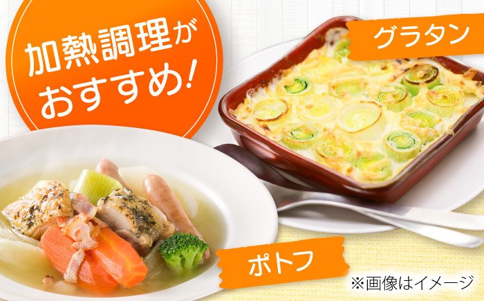【2026年10月中旬以降順次発送】 リーキ 3kg | 野菜 ネギ ねぎ ポロネギ 西洋ねぎ リーキ 先行予約 | 道の駅 真狩フラワーセンター [BPAM045]