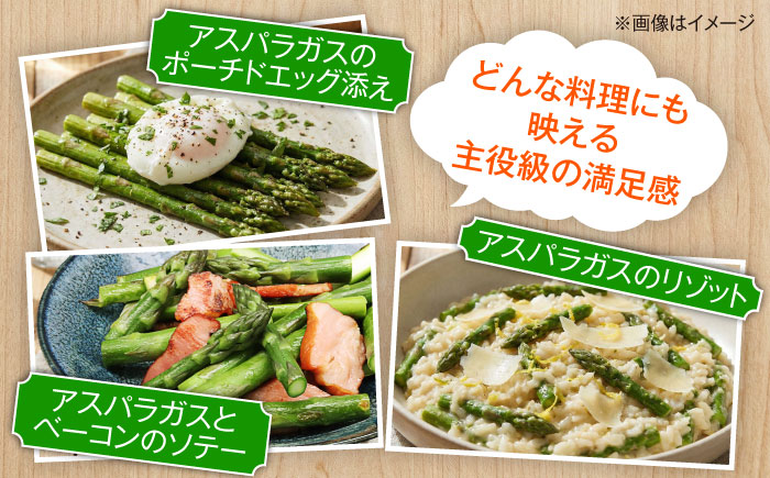 【2026年5月下旬以降順次発送】 グリーンアスパラ 2kg  |  アスパラ アスパラガス 野菜 やさい 北海道 産地直送 |  道の駅 真狩フラワーセンター [BPAM018]