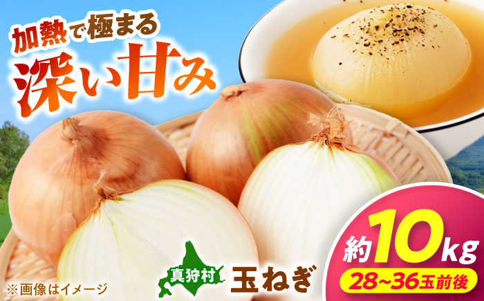 【2026年10月上旬以降順次発送】 玉ねぎ 10kg | 野菜 玉ネギ たまねぎ やさい 北海道 産地直送 | 道の駅 真狩フラワーセンター [BPAM080]