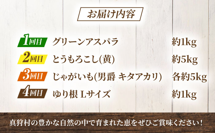 【2026年5月下旬以降順次発送】 【全4回定期便】 まっかり四季の恵みセット ミニセット (グリーンアスパラ・とうもろこし・じゃがいも・ゆり根）| 野菜 野菜セット アスパラガス とうもろこし コーン ゆり根 じゃがいも 北海道 | 道の駅 真狩フラワーセンター [BPAM046]